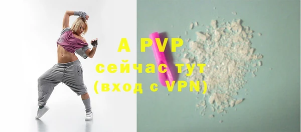дмт Абаза