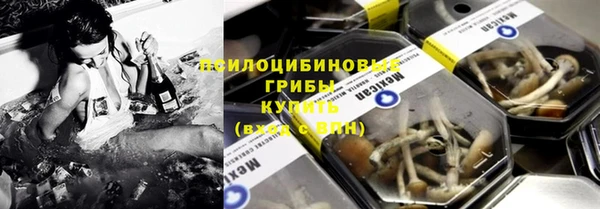 дмт Абаза