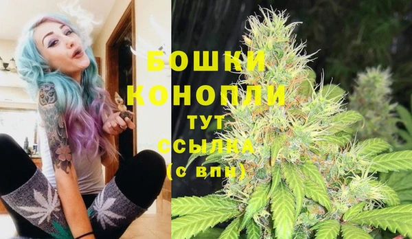 дмт Абаза