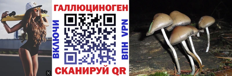 Псилоцибиновые грибы Magic Shrooms  Алагир 